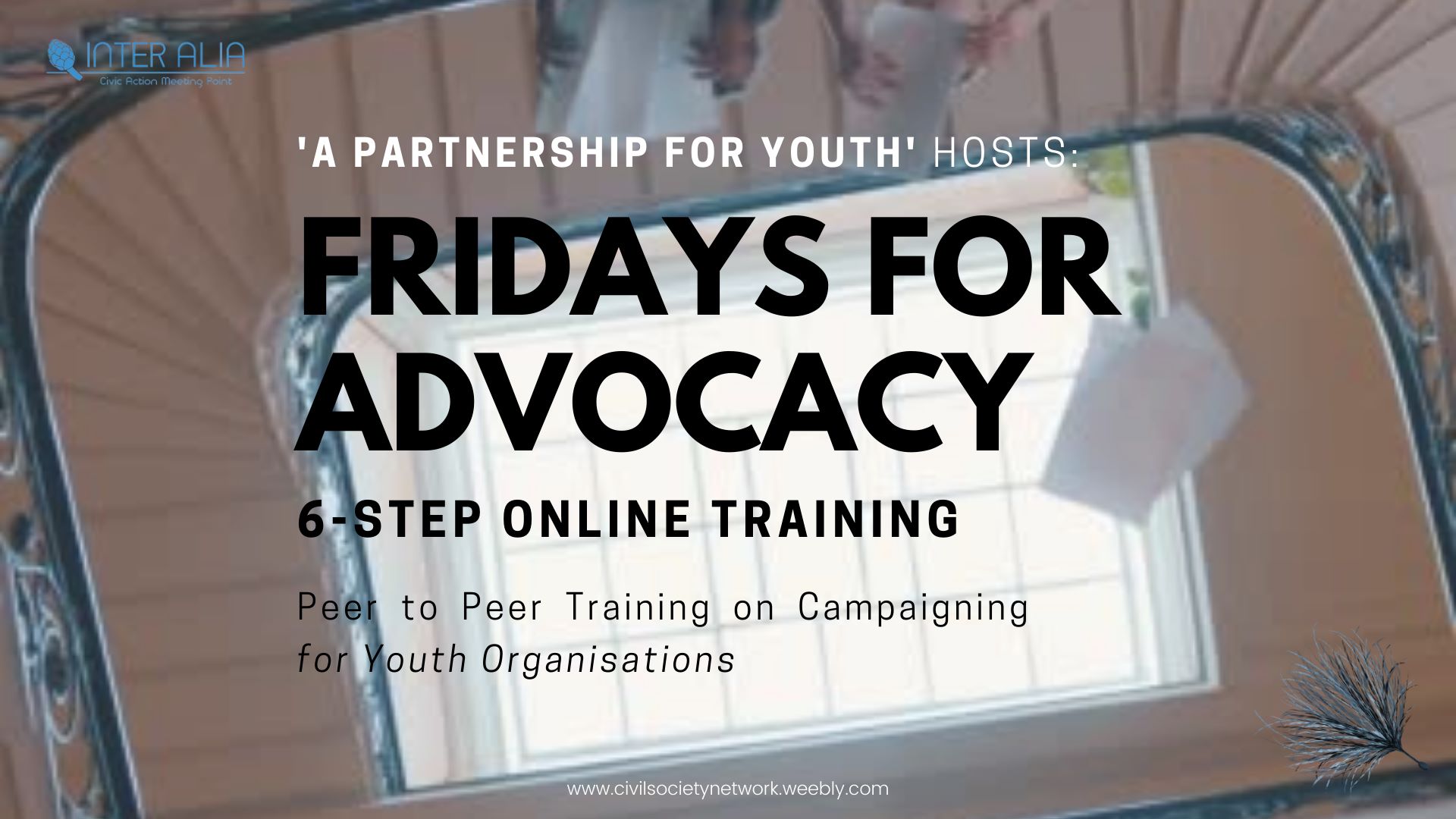 Primera sessió “Fridays for Advocacy” realitzada!