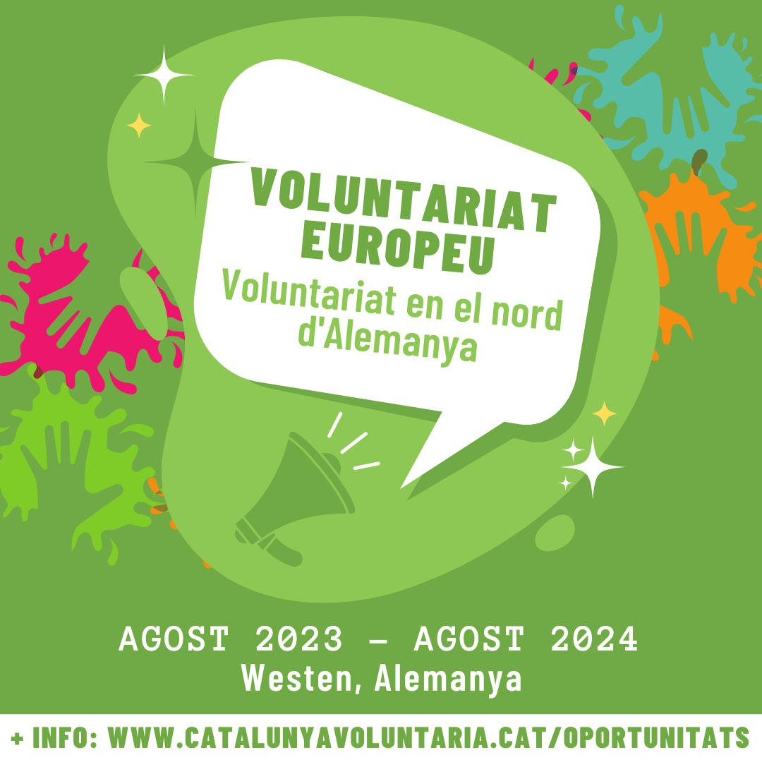 Voluntariat en el nord d’Alemanya