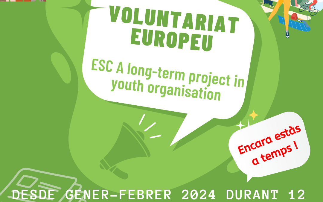 Volunteering in a youth organisation