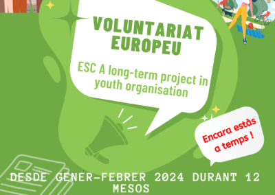 Volunteering in a youth organisation