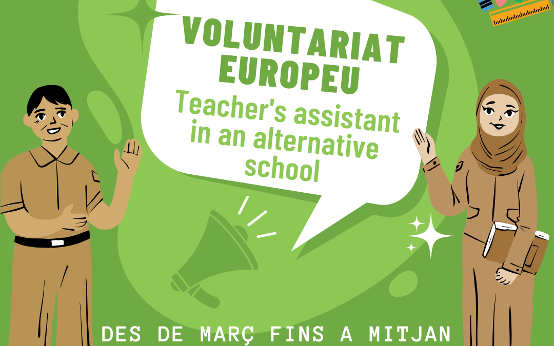 Teacher’s assistant in an alternative school in Austria