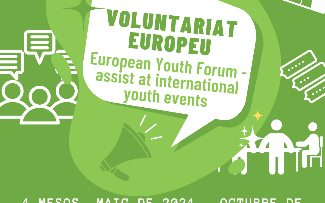 European Youth Forum – assistir a esdeveniments juvenils internacionals a Àustria