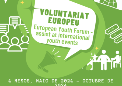 European Youth Forum – assistir a esdeveniments juvenils internacionals a Àustria