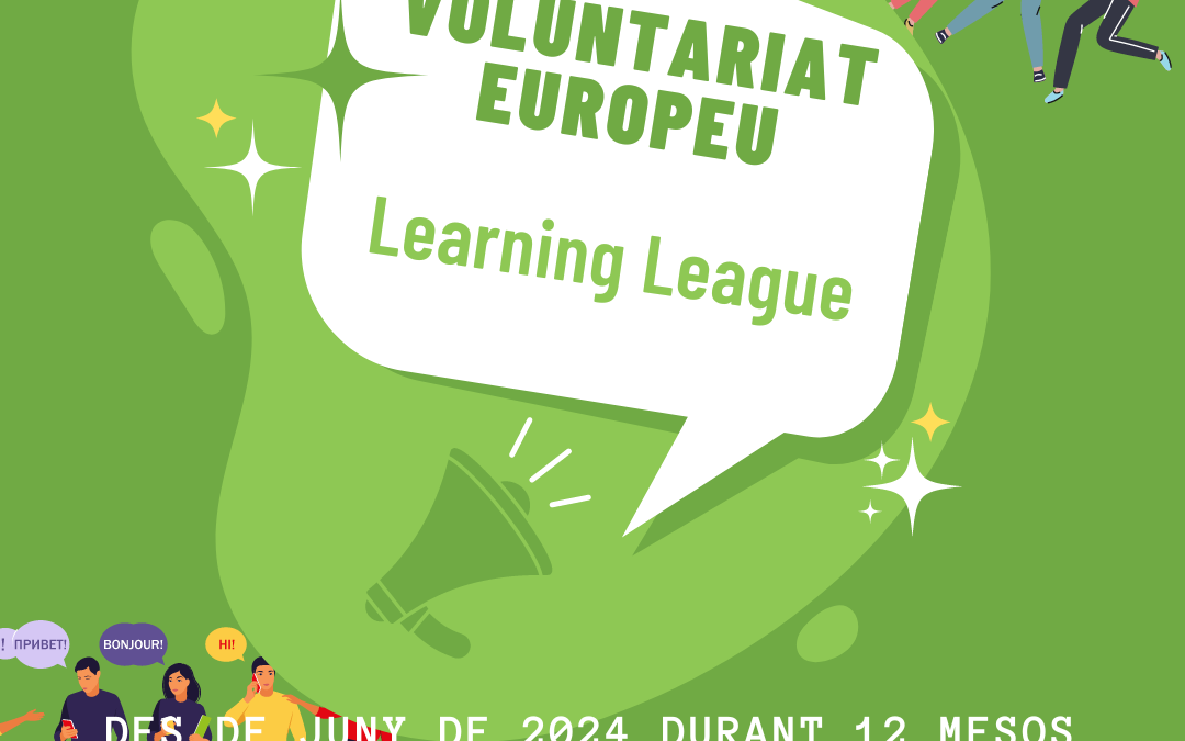 Learning Leagues