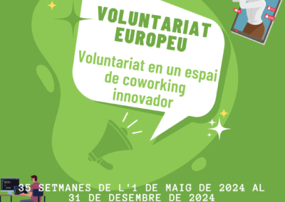 Volunteering in an innovator co-working space