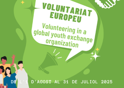Volunteering in a world youth exchange organization in Denmark