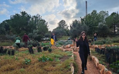 RESULTATS EXCEL·LENTS DEL CURS ECOrasmus 360º