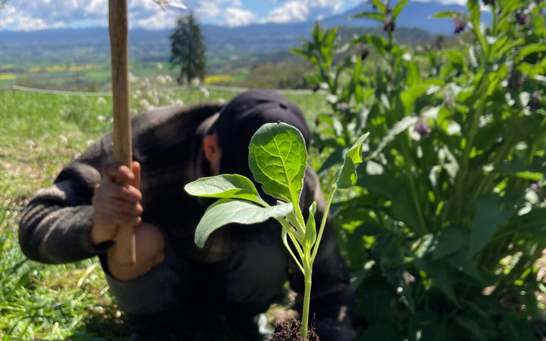 First month of volunteering in the Actors Space