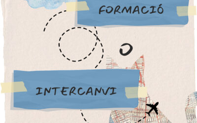 Com triar entre una formació i un intercanvi juvenil?