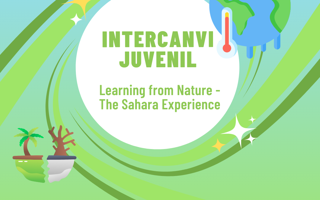 Learning from Nature – The Sahara Experience