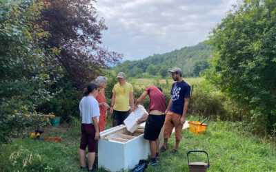 De l’hort a la vida: aprenentatges del meu viatge amb L’Espai de l’Actor