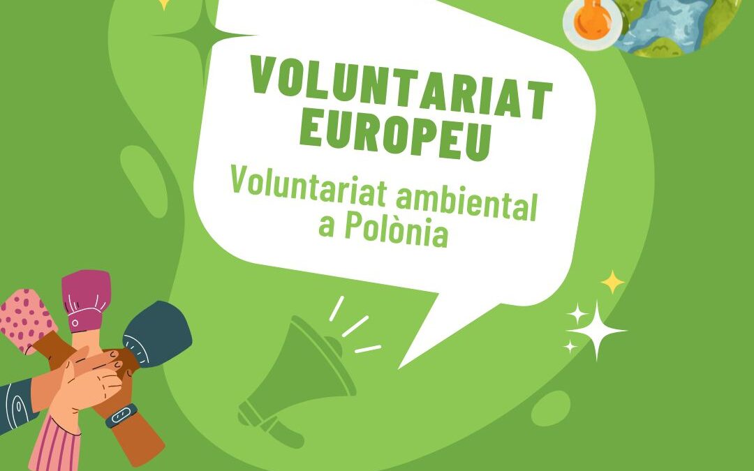 Voluntariat ESC a Gliwice, Polònia